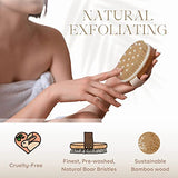 Dry Brushing Body Brush - Best for Exfoliating Dry Skin, Lymphatic Drainage and Cellulite Treatment - with Natural Boar Bristles