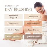 Dry Brushing Body Brush - Best for Exfoliating Dry Skin, Lymphatic Drainage and Cellulite Treatment - with Natural Boar Bristles